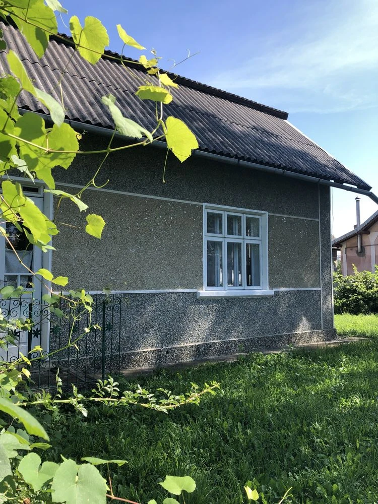 Будинок у селі Королівка
