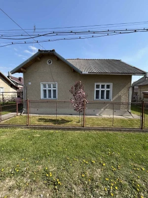Добротний цегляний будинок ,літня кухня ,гараж ,пивниця.