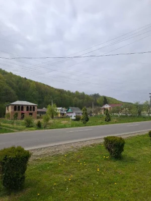 Продаю двоповерховий будинок з ділянкою біля лісу в Косові.