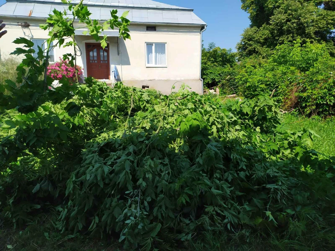 Продам будинок біля Рогатина