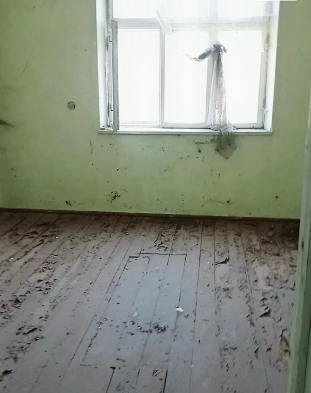 Особняк на затишній ділянці в Рогатині
