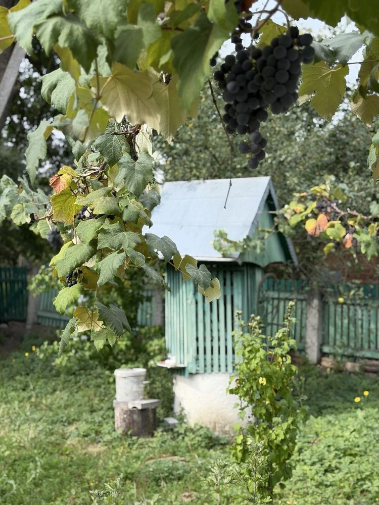 Продається дача, Біля Тлумача
