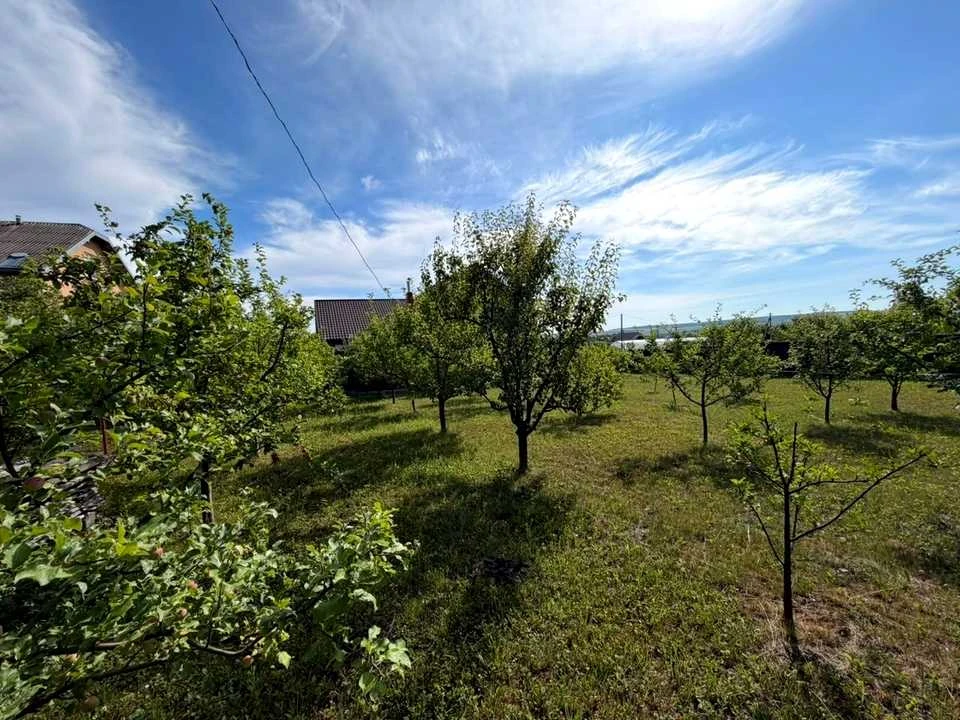 Будинок. Тлумач, Молодіжна