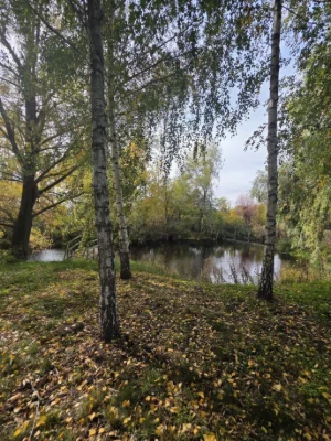 House in Full Furnished Condition with Private Lake