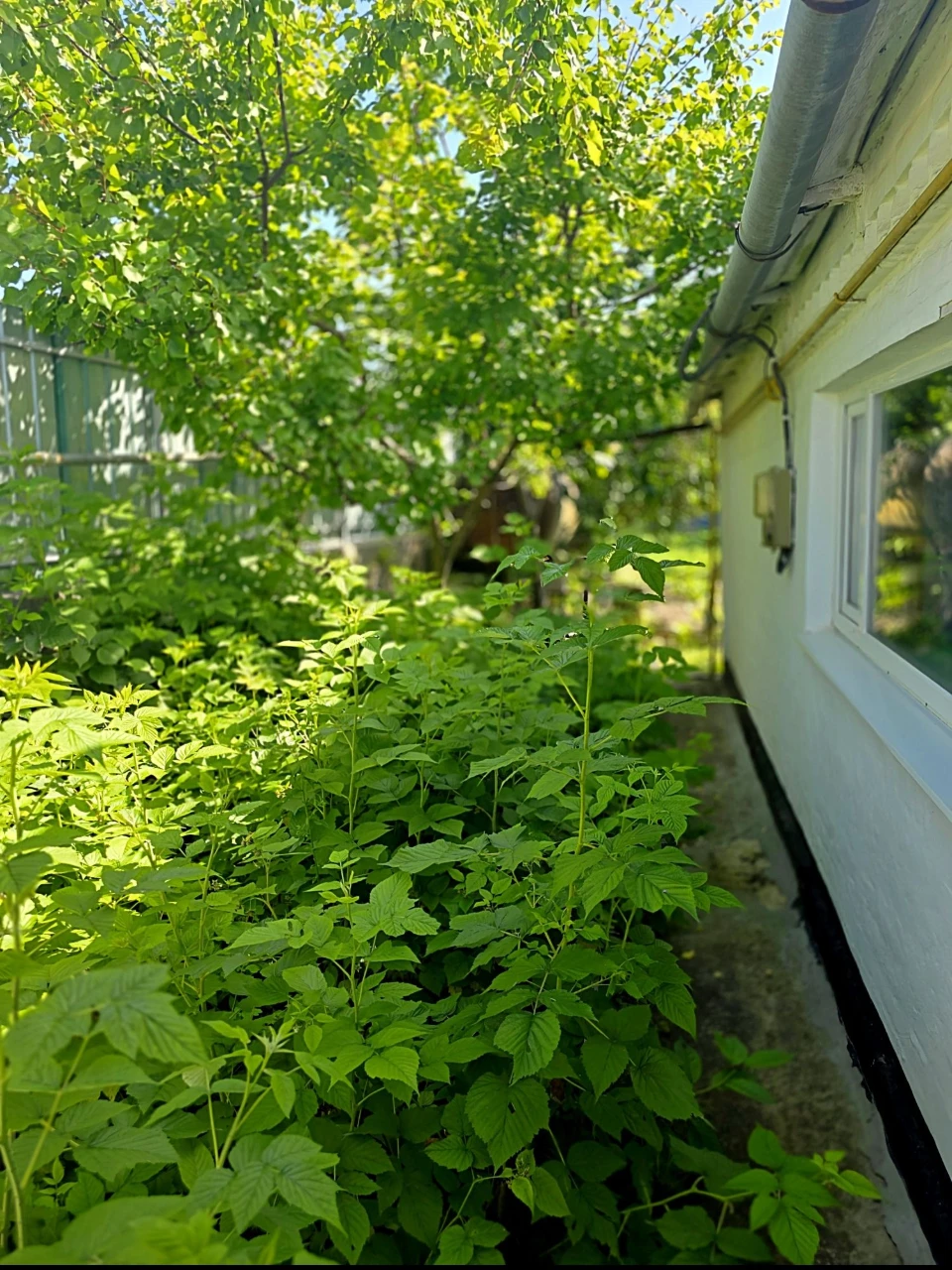 Продаж  приватизовано будинку