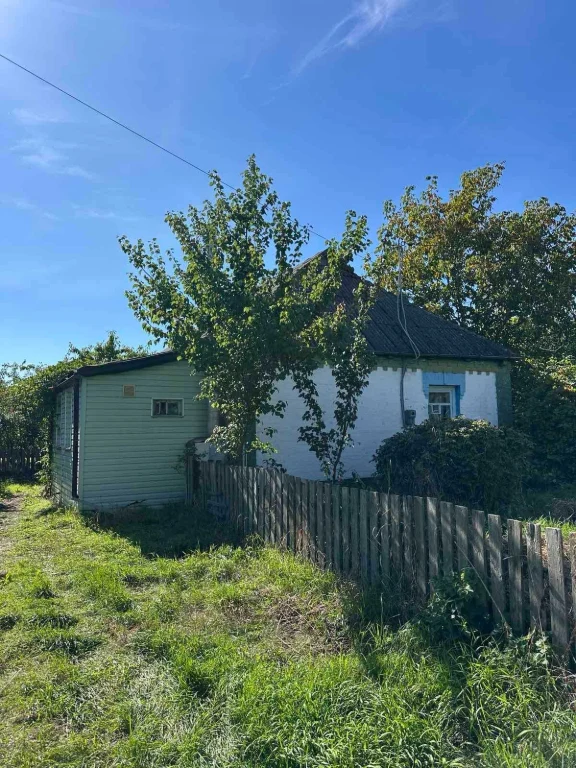Sale of HOUSE in village of Pysky | 15 km from Bila Tsirkva