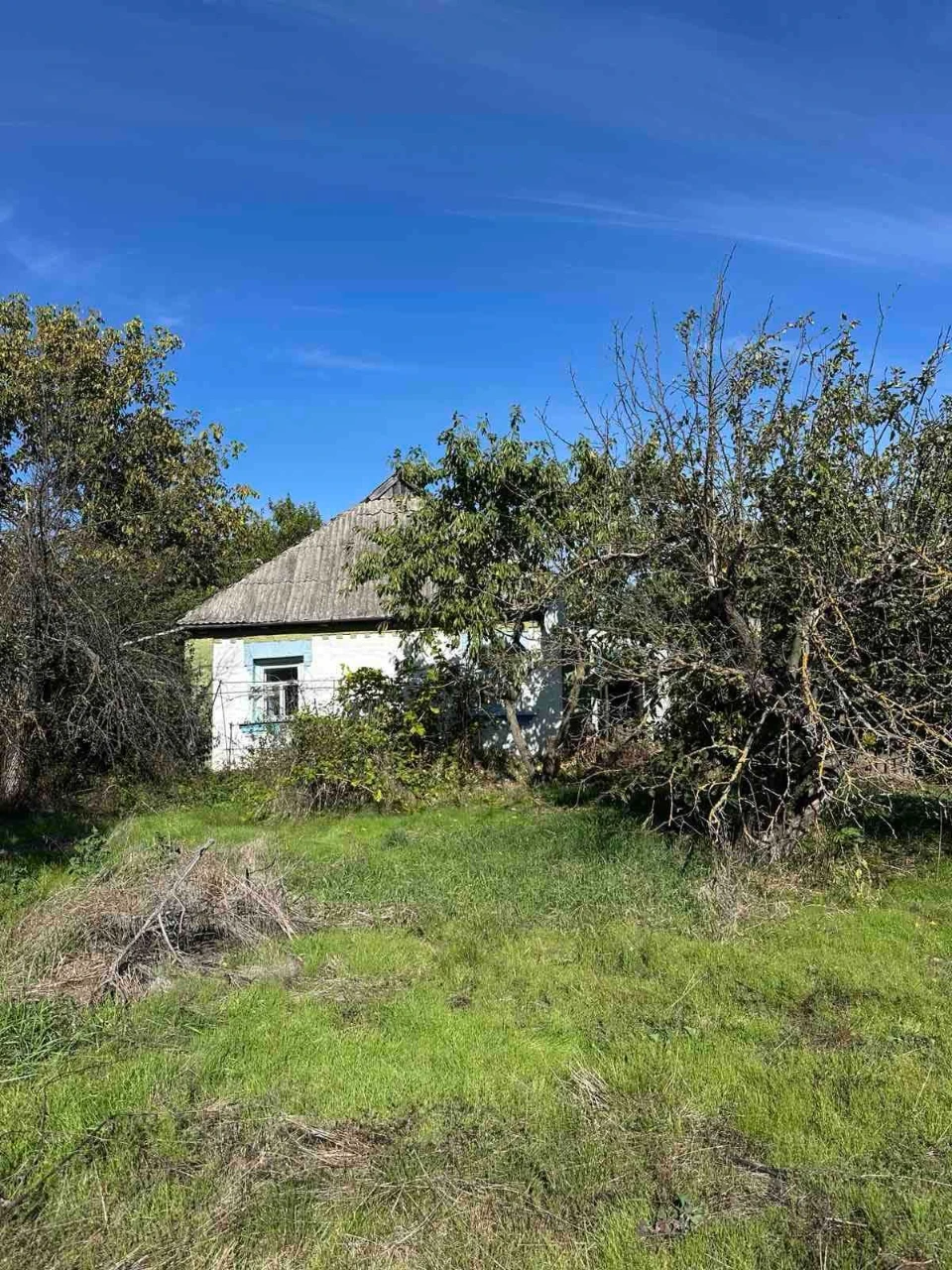 Sale of HOUSE in village of Pysky | 15 km from Bila Tsirkva