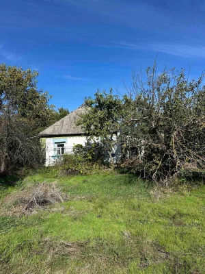 Sale of HOUSE in village of Pysky | 15 km from Bila Tsirkva