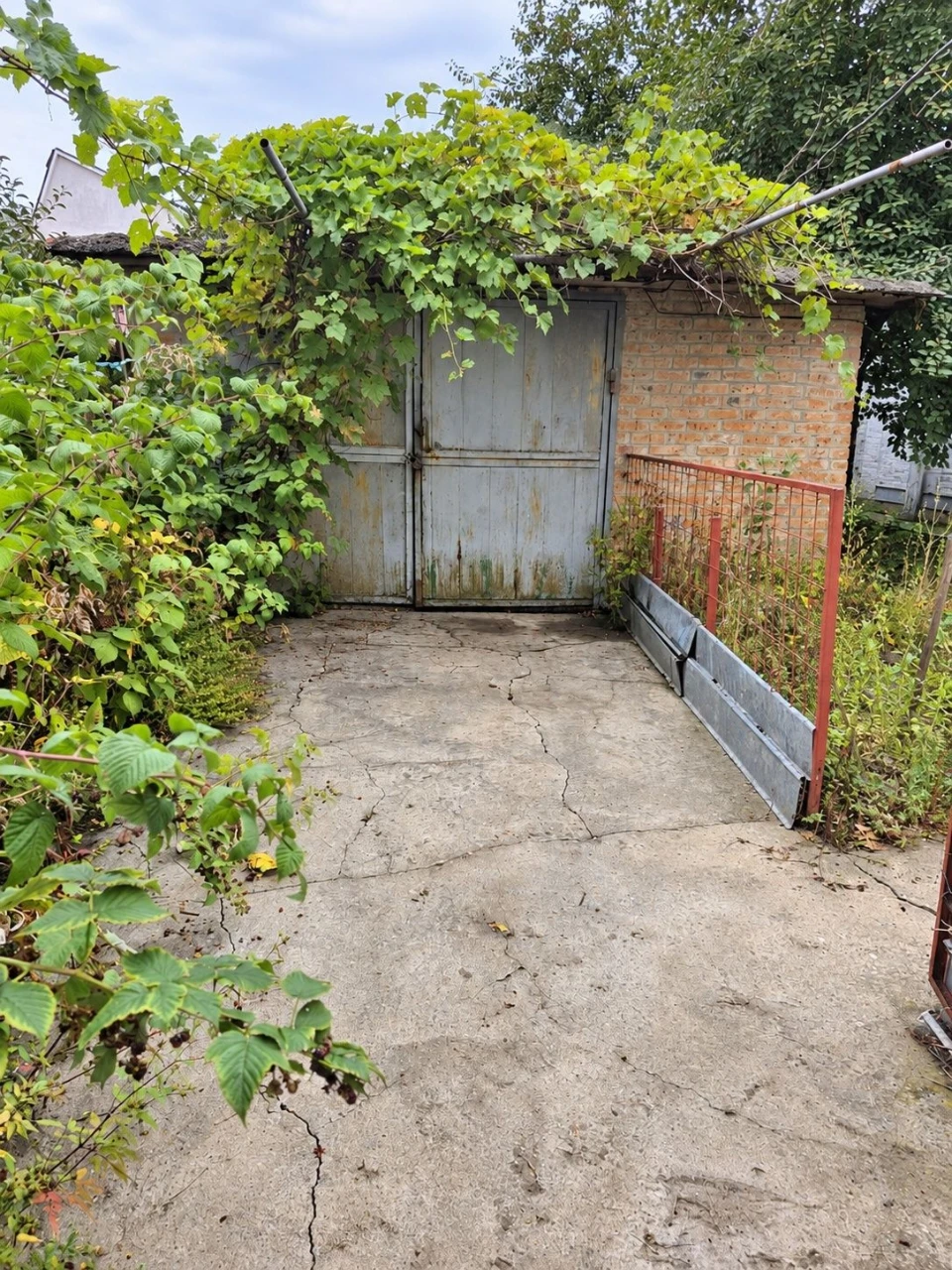 For Sale: House in Zalesnichyi settlement