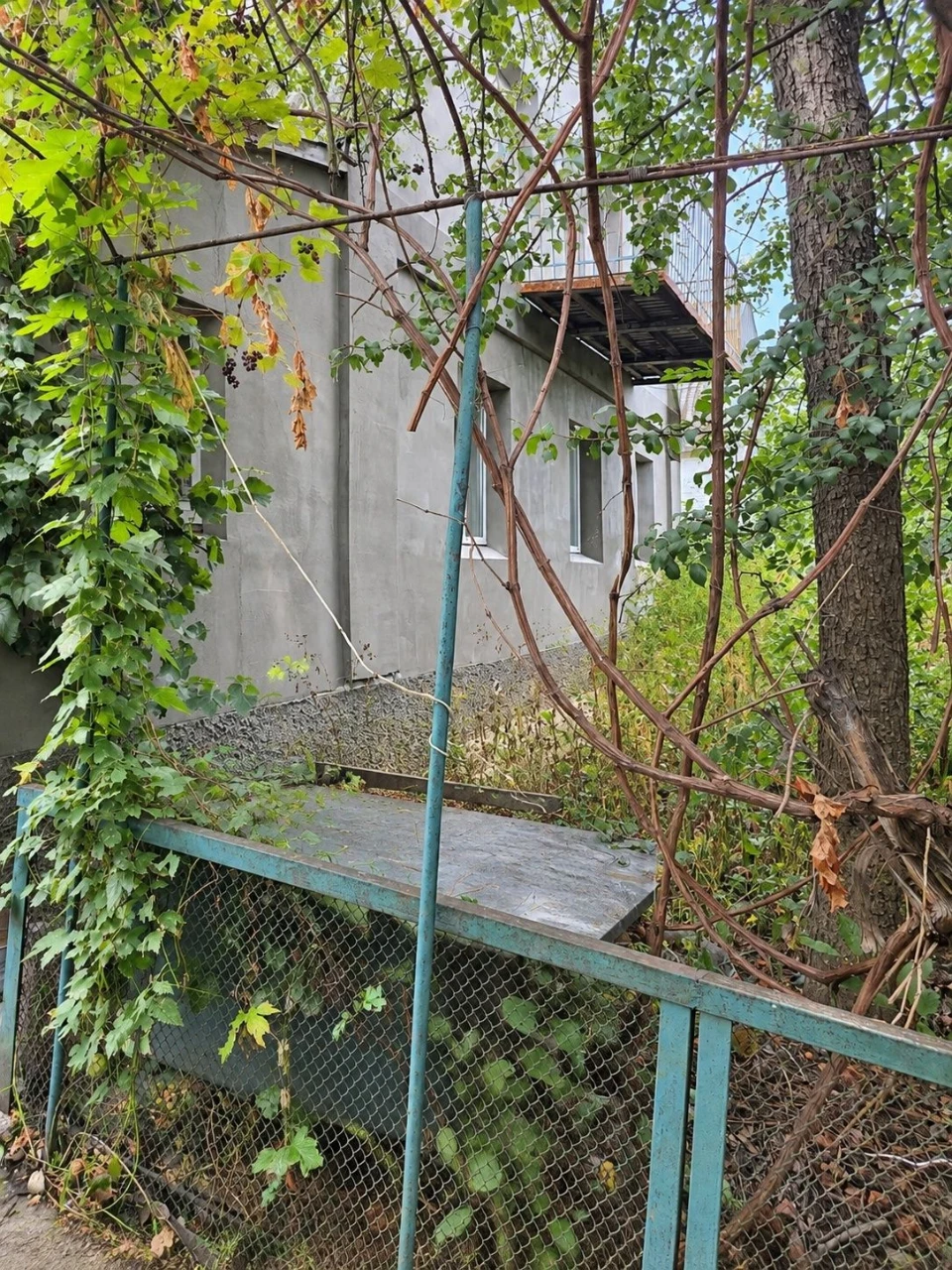For Sale: House in Zalesnichyi settlement