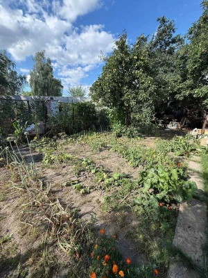 Sale of House, Sicheny Break