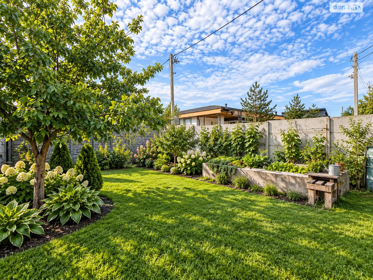 House for Sale in Tarashchan
