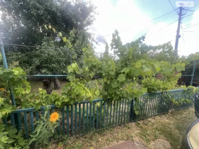 House for Sale in Tarashchan