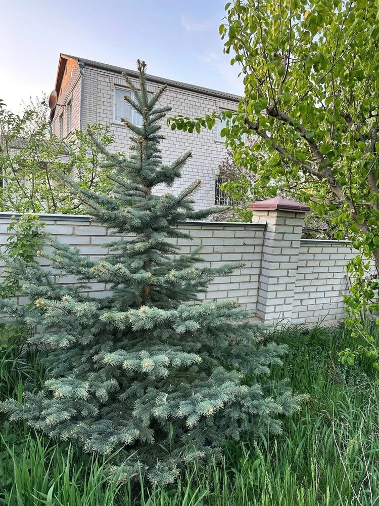 Продам будинок новобудова ЛЕТРА