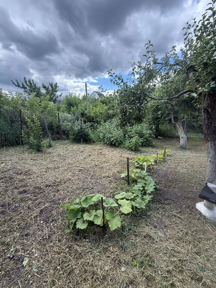 Sale of a country house in the town of Bila Chervya, Sukhiy Yar