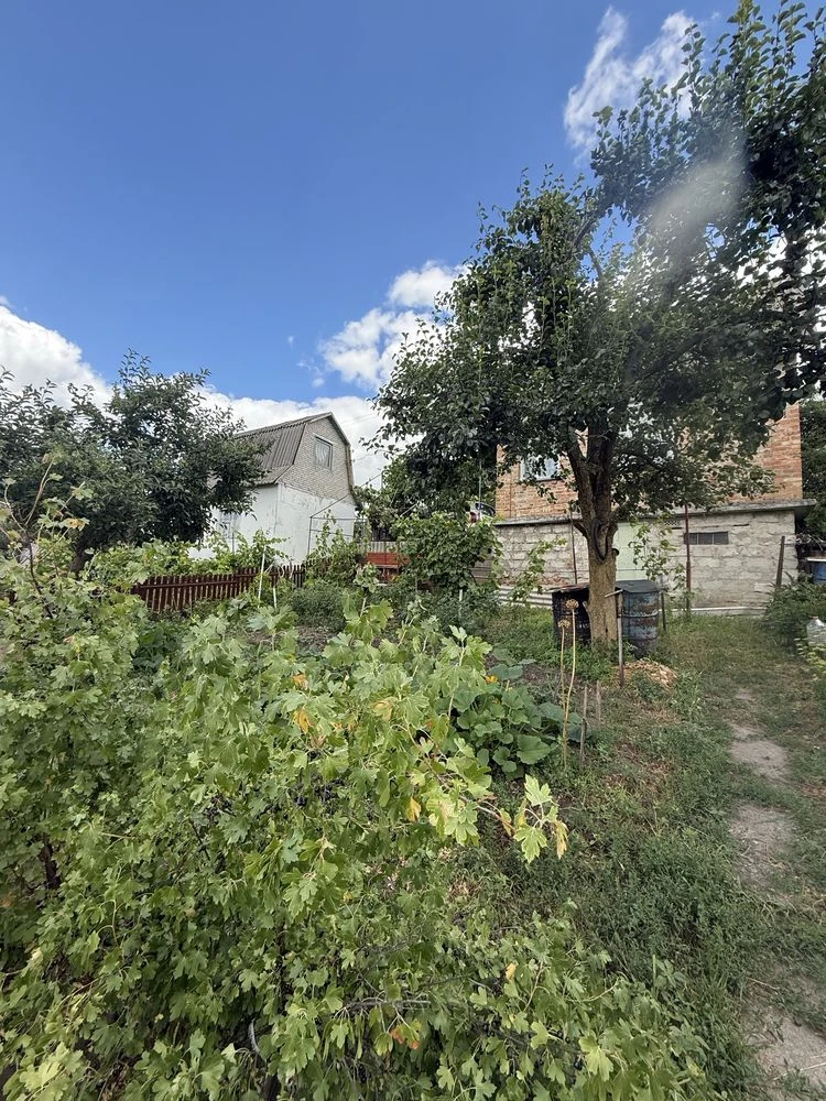 Sale of a country house in the town of Bila Chervya, Sukhiy Yar