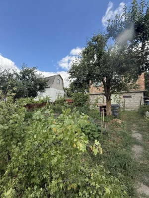 Sale of a country house in the town of Bila Chervya, Sukhiy Yar
