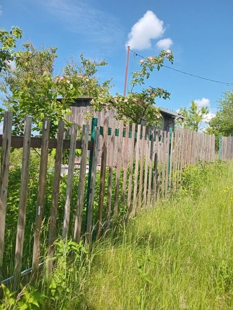 дача в Поправці