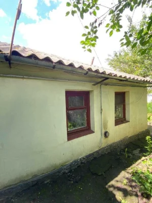 32620  Будинок в центрі міста! Підходить під державні програ