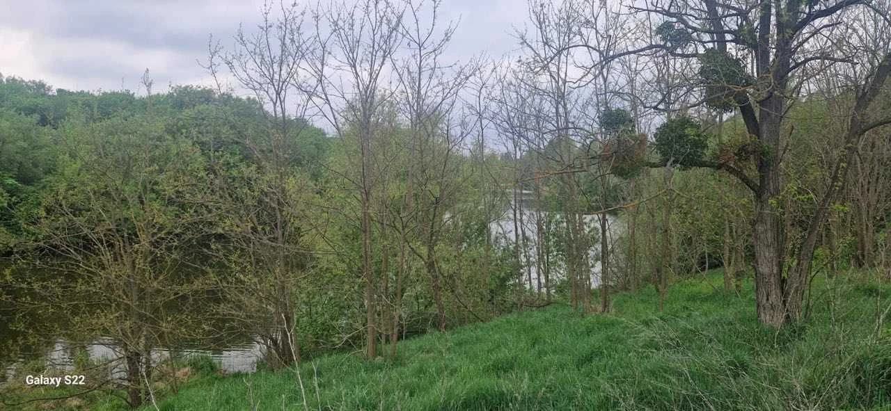 Массив Гайковських дач.  Річка Рось,Палієва гора,парк "Олекс