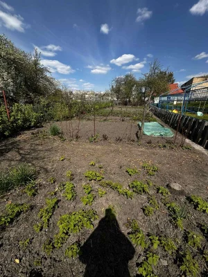 Продам будинок  в самісінькому Центрі міста Біла Церква/окре