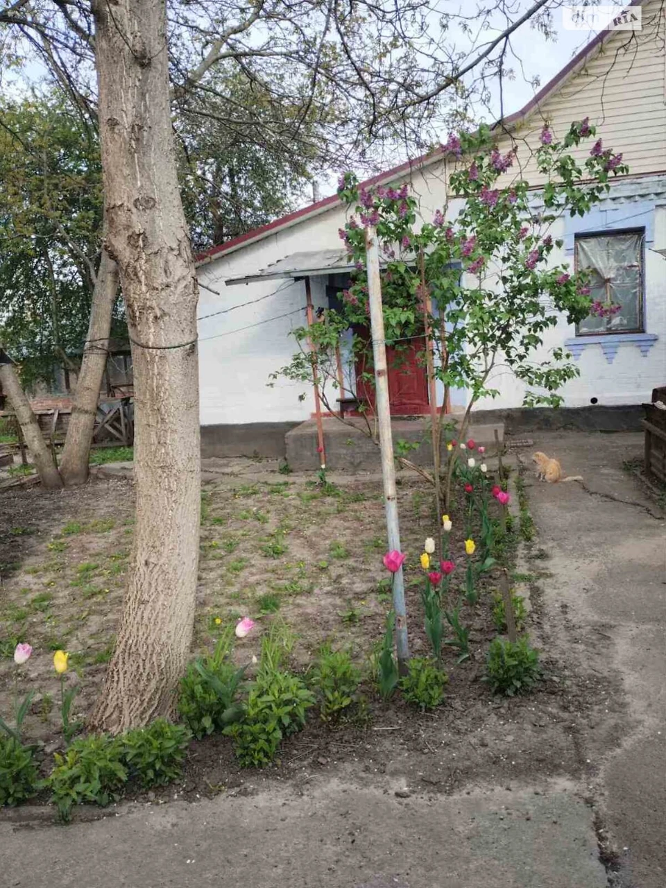 Продаж Дім