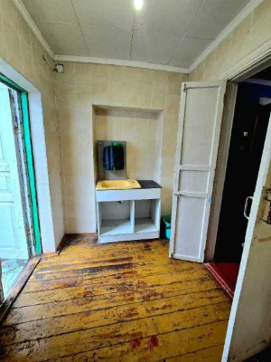Two houses for sale at a great price on Melnycha Street (Bilka)