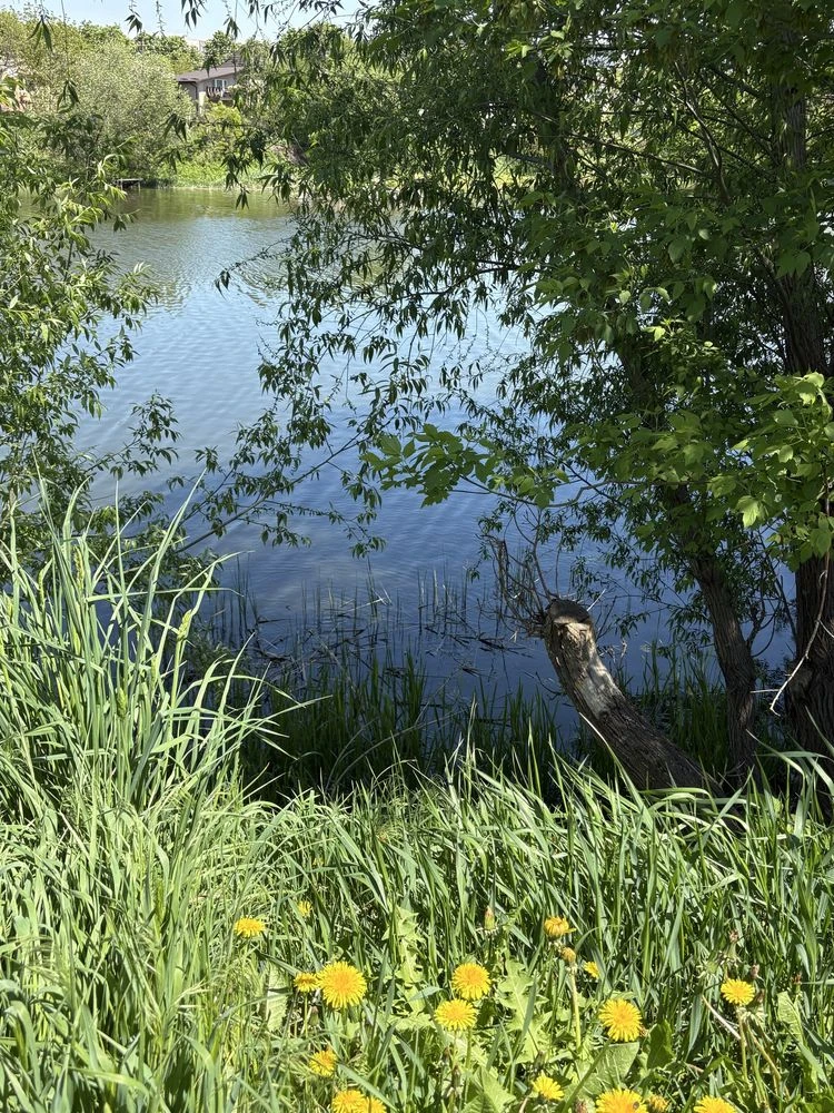 Sale of 1/2 of a house on the river bank
