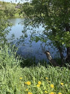 Sale of 1/2 of a house on the river bank