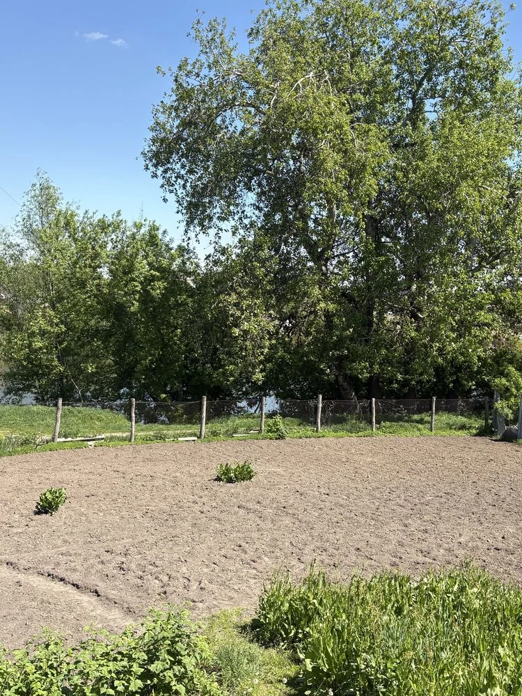 Sale of 1/2 of a house on the river bank