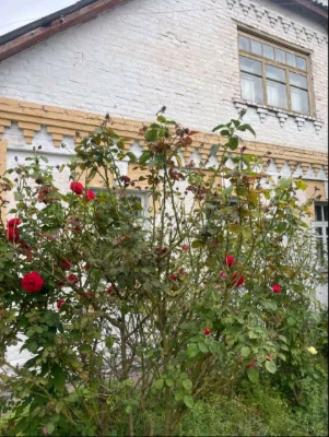 Продам цегляний будинок, поруч з центром міста
