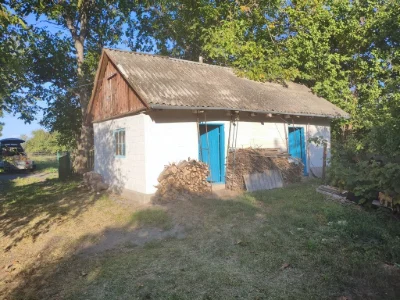 Продам будинок в селі .