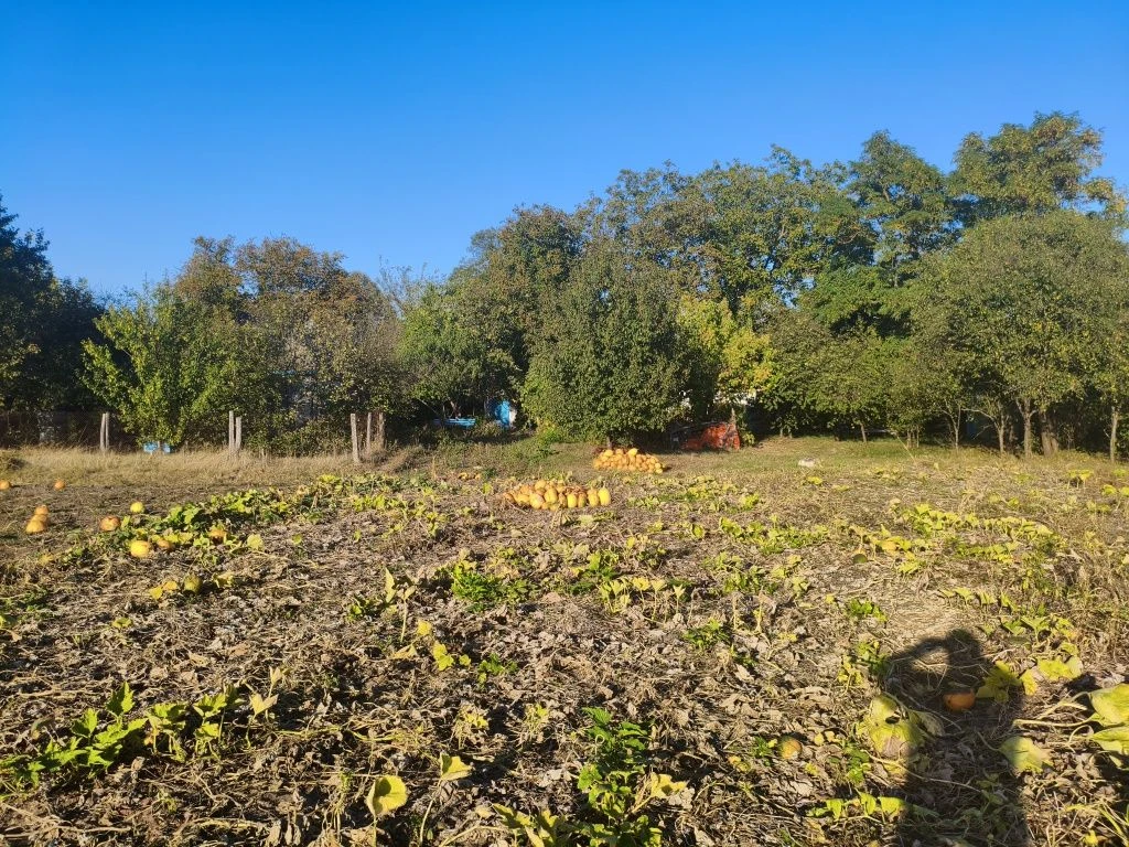 Продам будинок в селі .