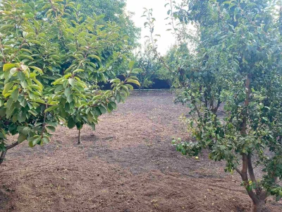 Центр, Царське село, продаж будинку від власника, без комісі