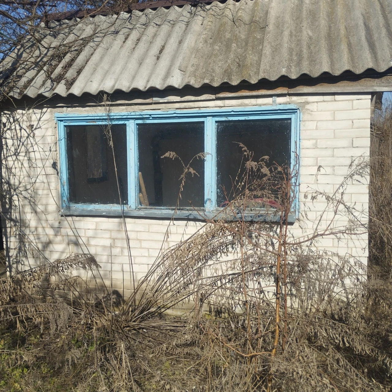 Продам дачу в Бориспільському р-ні