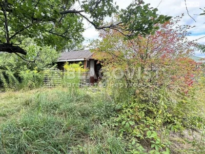 Sale House Torghmash