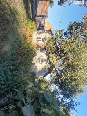 Продаж Дім Пекарня