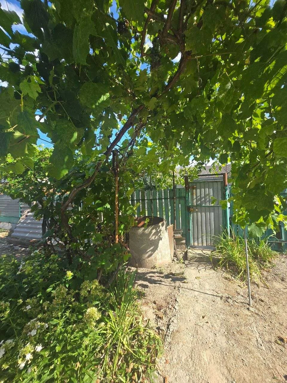 Продаж будинку в м. Васильків, район Петровського