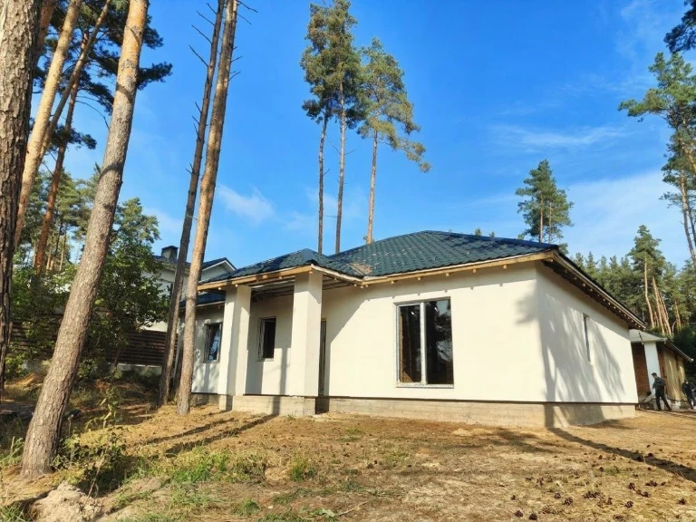 Продається капітальний цегляний будинок з соснами на ділянці
