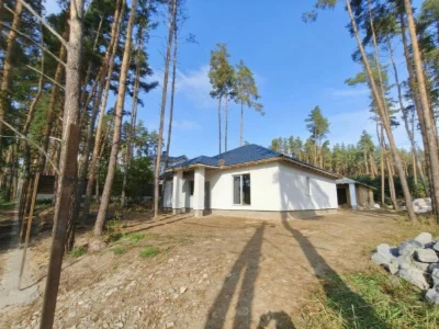 Продається капітальний цегляний будинок з соснами на ділянці