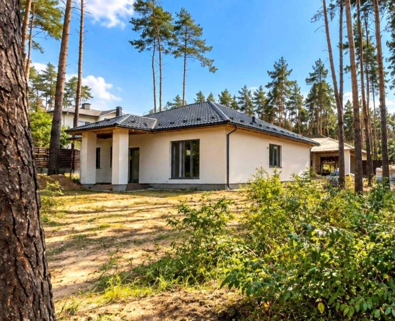 Продаж одноповерхового будинку в оточені вікових сосен: 120к