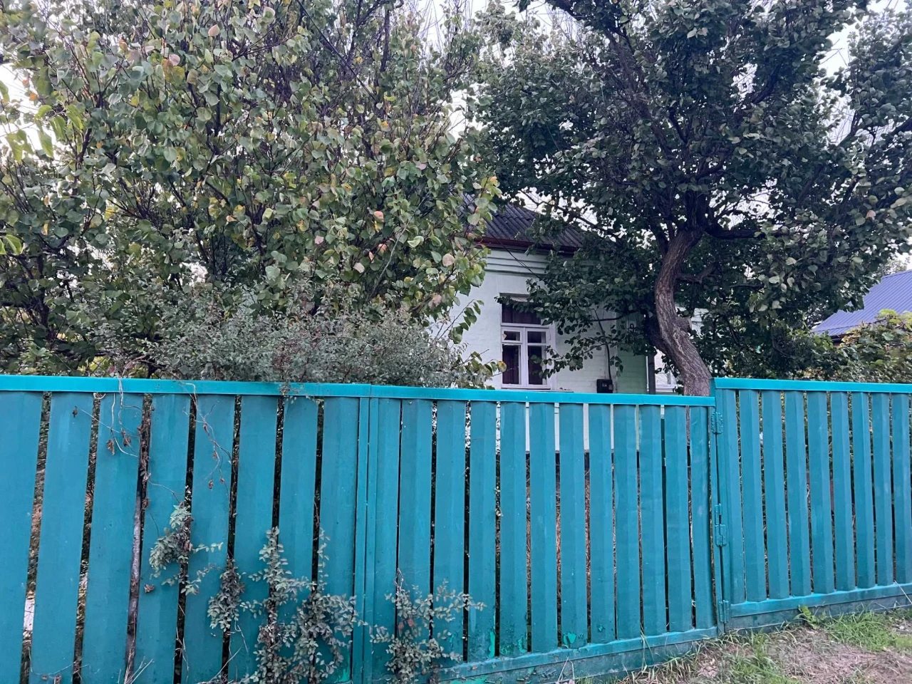 Продаж будинка в Василькові