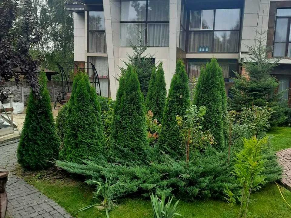 Будинок. Васильків, Депутатська