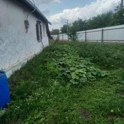 Продам будинок в м.Васильків з земельною ділянкою 30 соток