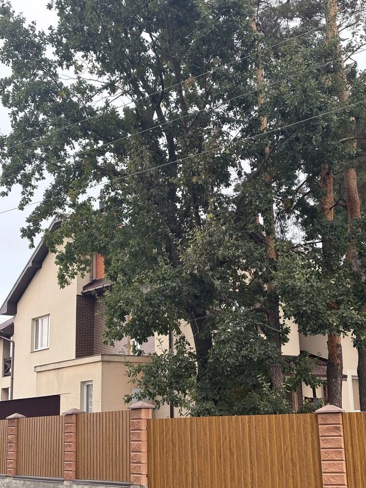 Продаж Таунхаусів під Києвом !єОселя , держпрограми