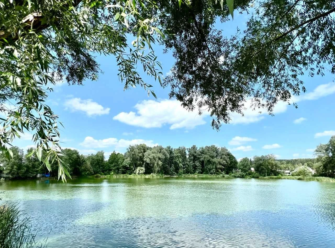 Продам цегляний дім біля лісу і озера 120кв.м+0,10га. Газ,17