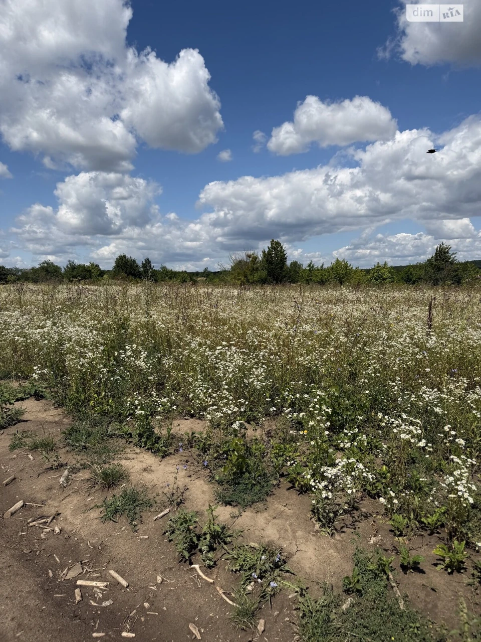 Продаж Ділянка під житлову забудову