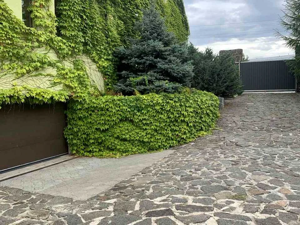 Будинок. Вишгород, Ромашкова