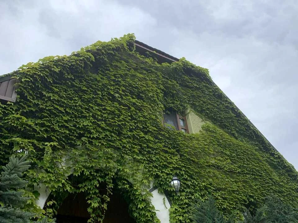 Будинок. Вишгород, Ромашкова
