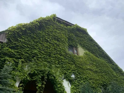 Будинок. Вишгород, Ромашкова